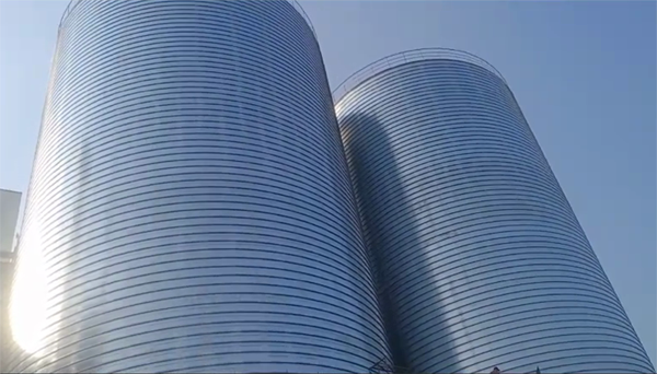 浑源2座混凝土高架卷板仓